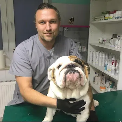 Alphavet Centrum Małych Zwierząt